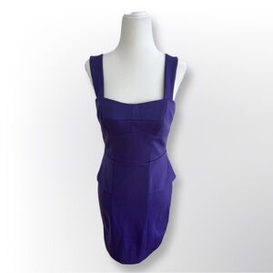 New W/Out Tags! Cynthia Steffe Purple Sheath Mini Dress | Size 0